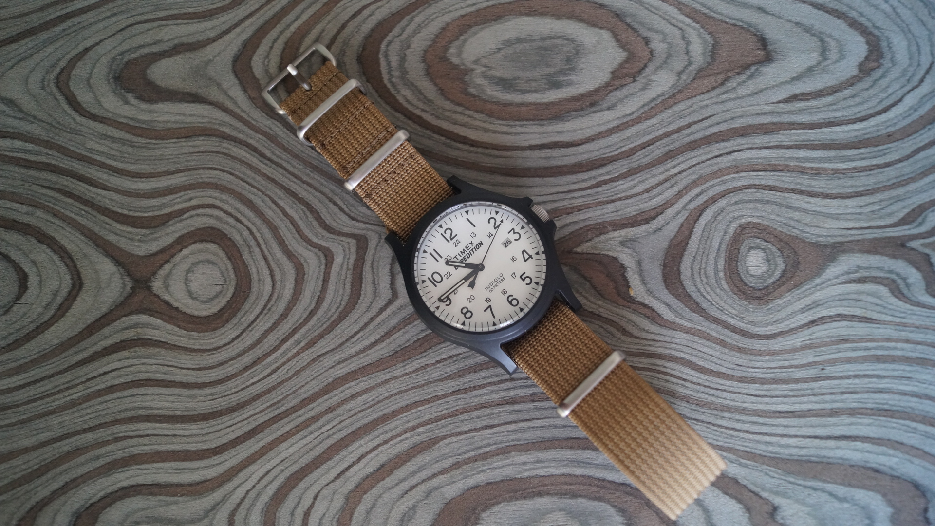 Review Timex Expedition Acadia TW4B08200